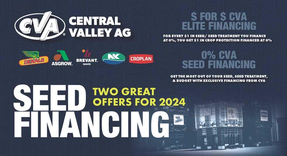 Two seed offers