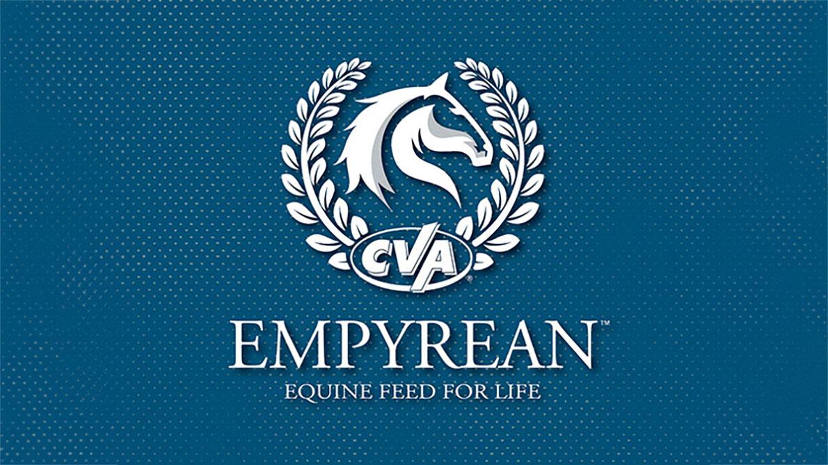 CVA Empyrean Blue Graphic