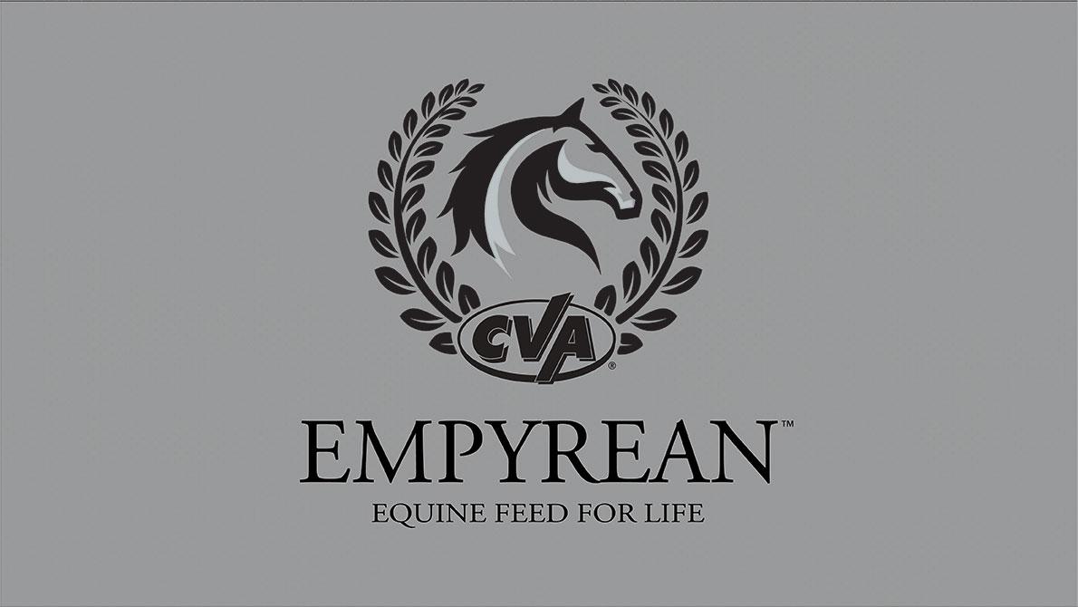 CVA Empyrean Gray graphic