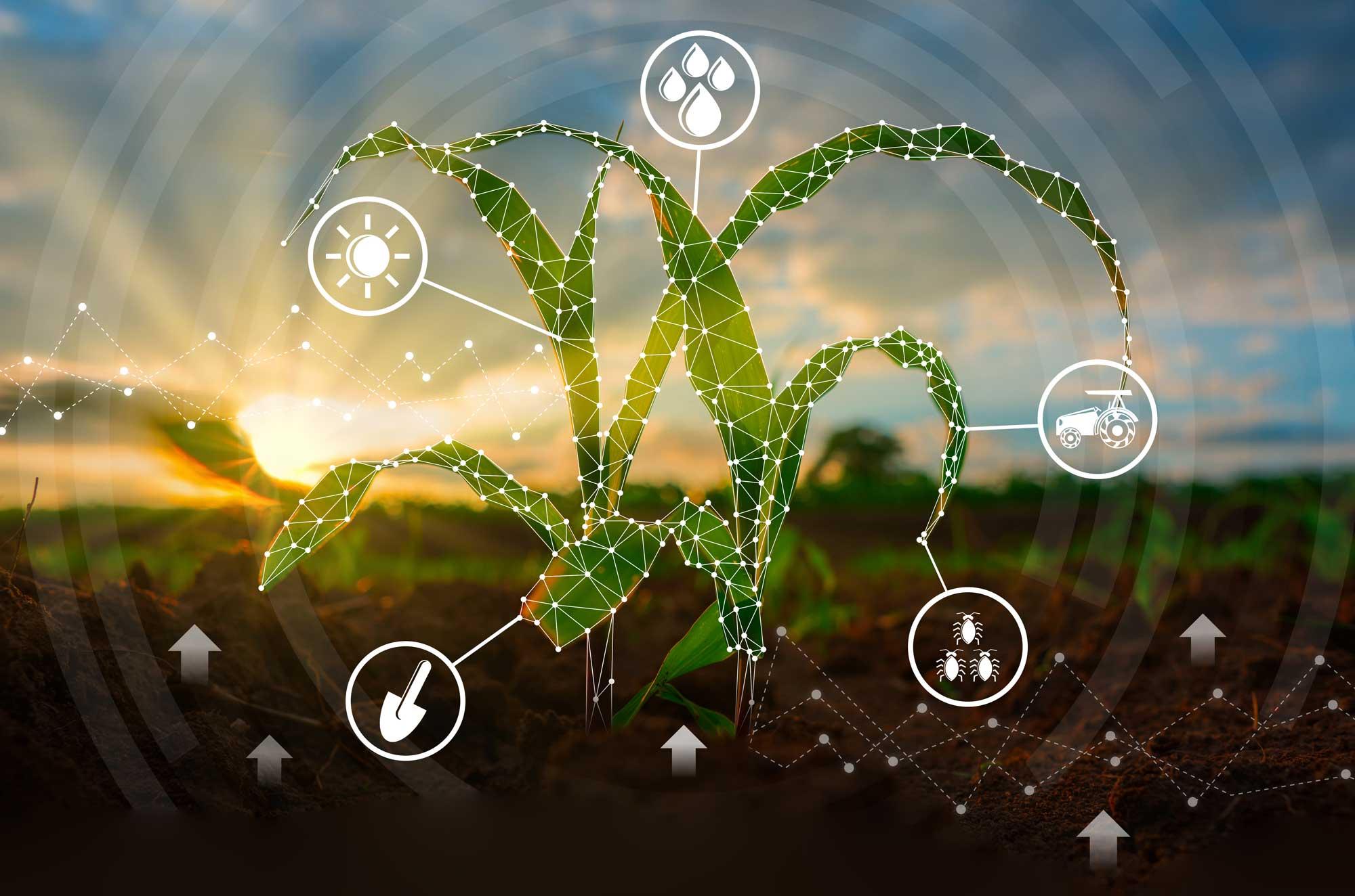 Agronomy Technology