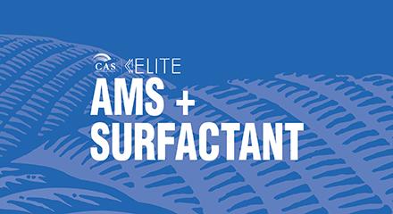 AMS+Surfactant