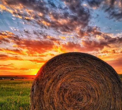 Sun over hay bales